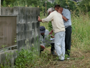 CIMG2192 (2500x1875) (2000x1500).jpg